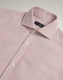 Cotton Pinstripe Long Sleeve Spread Collar Shirt