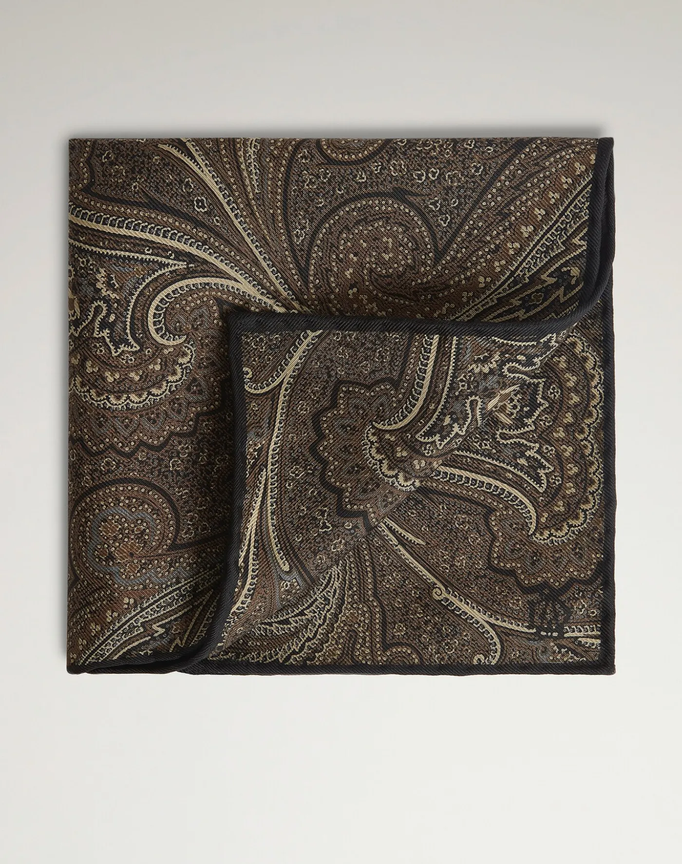 Silk Large Paisley Pocket Square