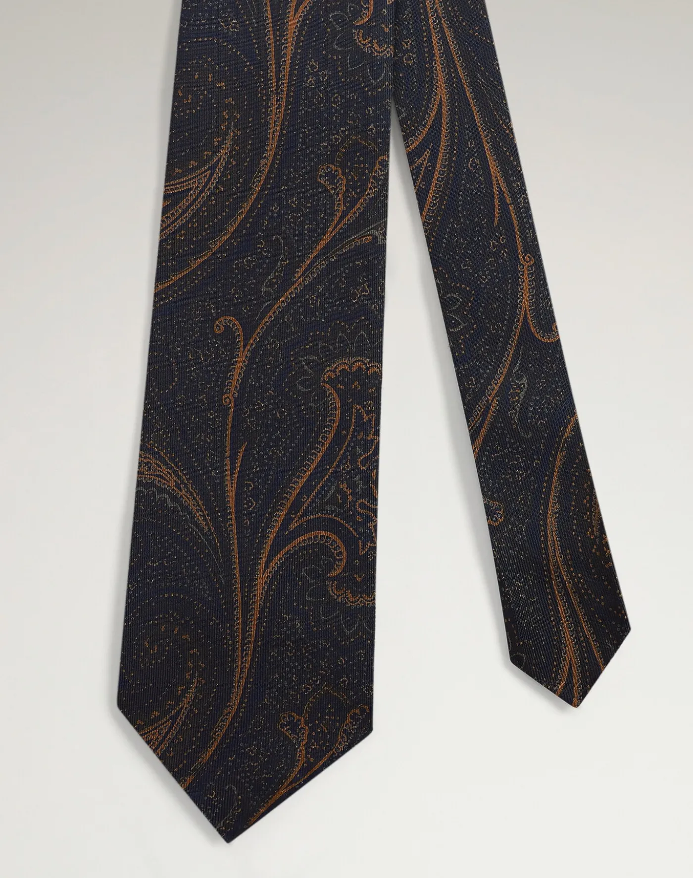 Silk Large Paisley Tie