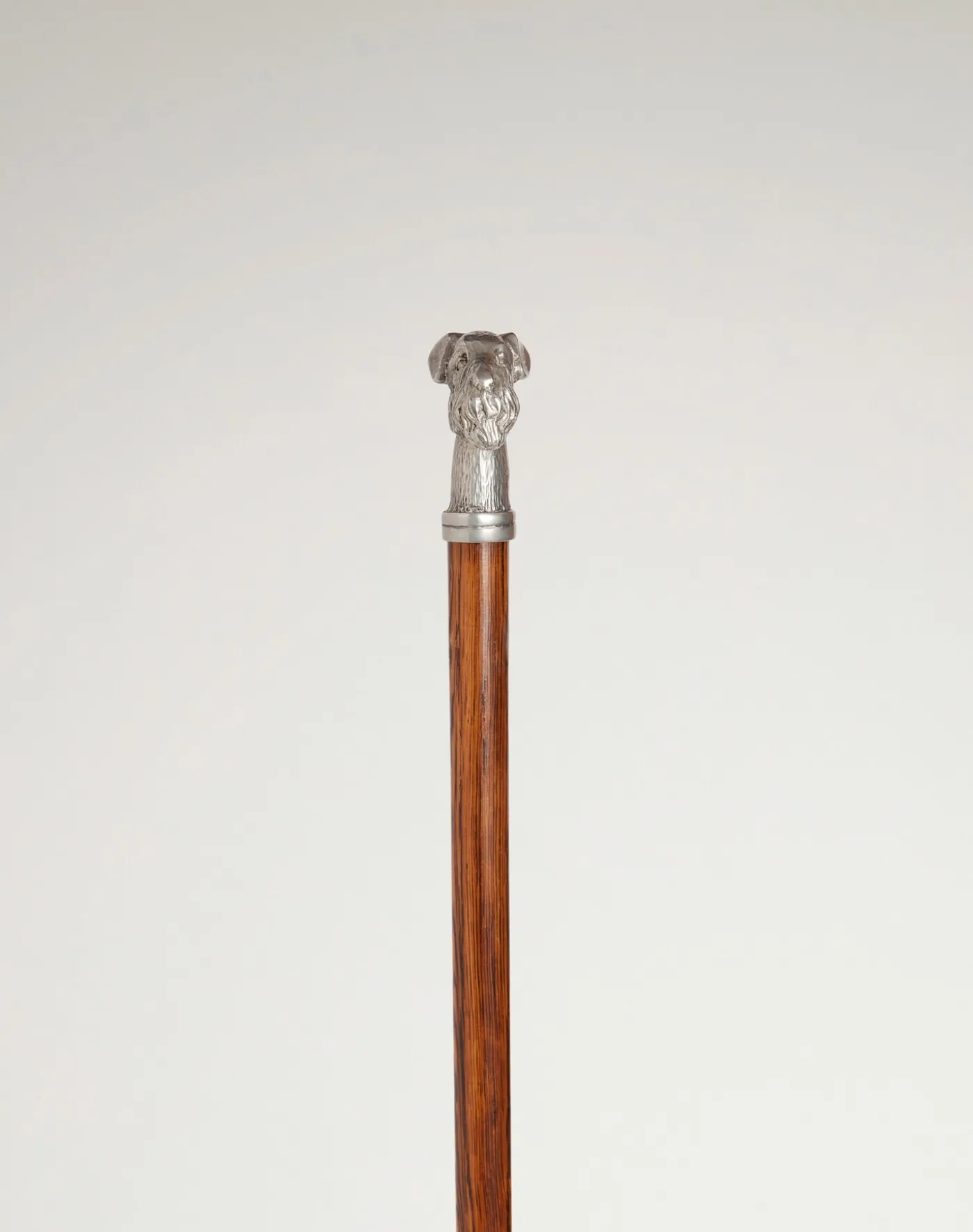 Terrier Head Walking Stick